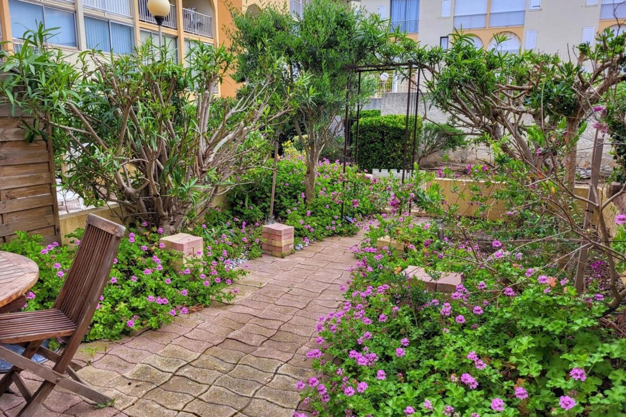 Jardin Piscine Proche De La Apartment